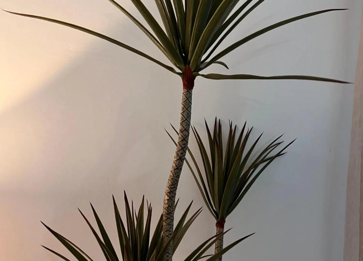 Apartamento Bambu Carboneras